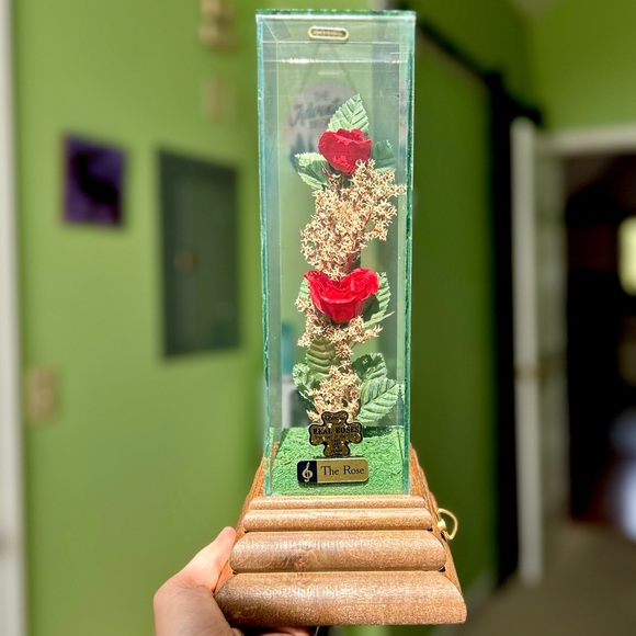 Vintage Glass Encased Preserved Authentic Roses Floral Music Figurine Art - Picture 1 of 12